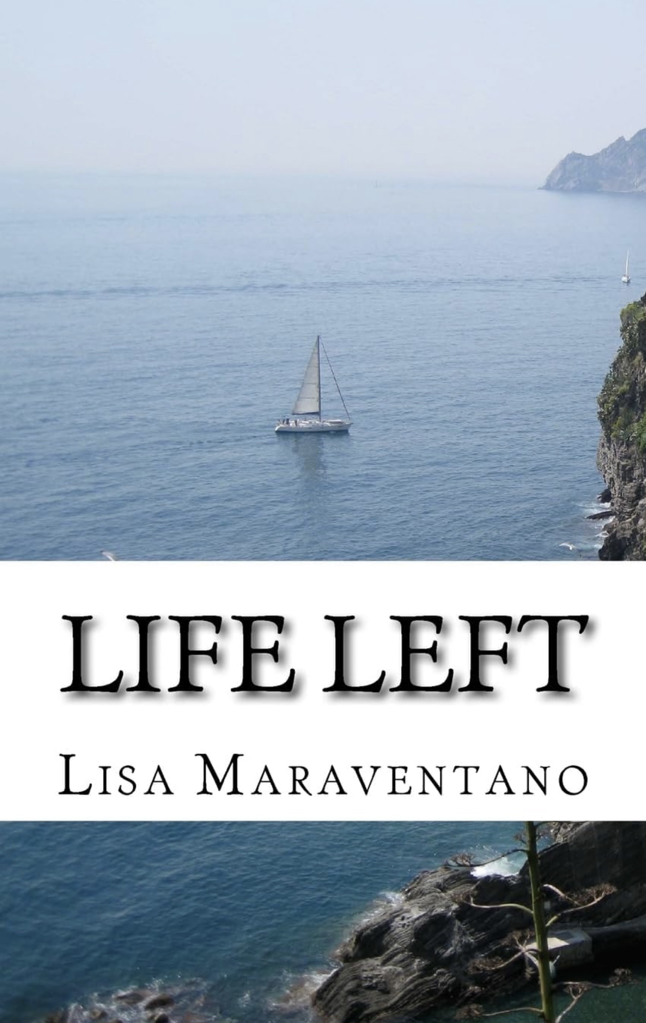 Life Left cover
